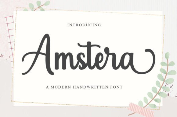 Amstera Script Review: A Designer’s Take