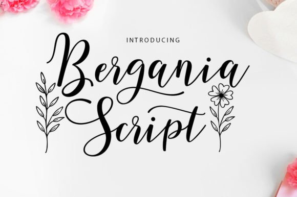 Bergania Script: Elevating Campaign Visuals with Modern Typography