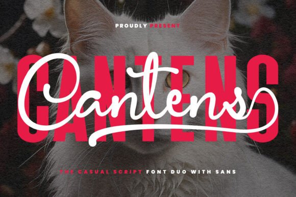 Cantens Typeface: The Friendly Font Duo for Your Brand Upgrade
