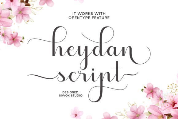 Heydan Script: Elevating Digital Brand Identity with Modern Typography