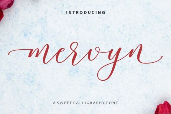 Mervyn: A Premium Script Font for Modern Web Design