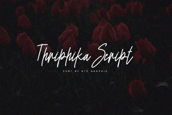 Thriphika Script: The Handwritten Typeface for Polished Brand Identity