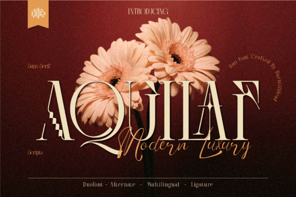 Why Aquilaf Is the Perfect Font for Elevating Your Brand Identity
